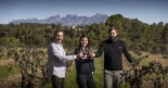La DO Cava pierde una bodega de dos millones y medio de botellas: Juvé & Camps pasa a Corpinnat