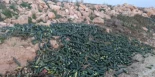 Toneladas de frutas y verduras pudriéndose en el campo, otro síntoma de un modelo agrario insostenible
