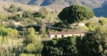 El fuego de Losar de la Vera (Cáceres) se convierte en el primer “gran incendio” forestal de 2026