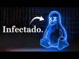 internet estaba a semanas del desastre y nadie lo sabia