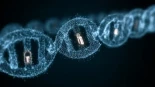 Científicos crean un cifrado que usa el ADN y es tan seguro que ni un ordenador cuántico podrá romperlo