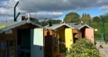 Así es la residencia para gatos jubilados donde viven felices hasta el final: de chalets a una zona común