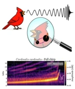 Inocentadas en arXiv del 1 de abril de 2026