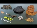 Comparación 3D de los distintos excrementos del mundo animal