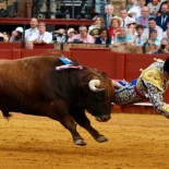Morante sufre una cornada durante su último toro en la Feria de Sevilla