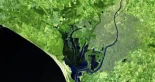 Doñana, bajo el agua y un manto verde: una imagen satelital muestra la transformación del humedal en primavera