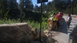 Dos fallecidos y un detenido tras la caída de un vehículo desde un puente al río Clariano en Ontinyent