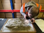 Se ha encontrado un raro tejido púrpura imperial en tumbas de bebés romanos en York (ENG)