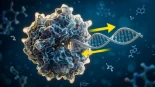 Descubierta una enzima bacteriana capaz de sintetizar ADN a partir de proteínas, sin un molde de ADN o ARN de base [ITA]