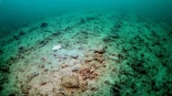 La pesca de arrastre en Europa causa 90 veces más daños económicos que beneficios, según un estudio científico
