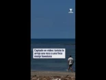 Turista le arroja una roca a una foca monje hawaiana