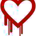 El antiguo director de seguridad de Microsoft, detrás del heartbleed.com