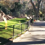 Herido muy grave un hombre que ha entrado en la fosa de los leones del Zoo de Barcelona (CAT)