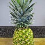 Cómo plantar una piña [ENG]