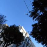 La situación se agrava en Túnez ante la indiferencia de los medios