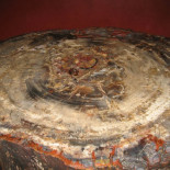 Te haces viejo, tronco…