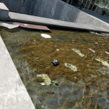 PCTCAN, El parque tecnológico abandonado