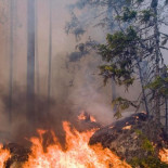 Crisis tras incendios forestales:  Suecia está luchando por apagar al menos 80 incendios forestales [NOR]