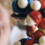 Descubren un nuevo mecanismo de reparación del ADN