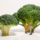 Mecambio.net: guía para otro consumo