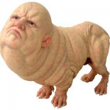 Taxistas de mierda (Ni libre ni ocupado)