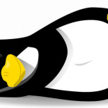 Preliminary STIBP Fixes Restore Linux 4.20 Performance (en)