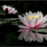 ¿Por qué dimito como director de centro de salud?