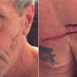 Un exboxeador se enfrenta a un oso negro a puñetazos,y sale vivo. [ENG]