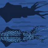 Enciende las luces, que no nos vean