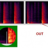 Fase: la cara oculta del audio