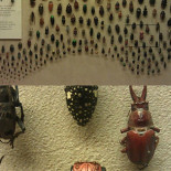 Hoy he visto esto en el Museo de Historia Natural de Cleveland