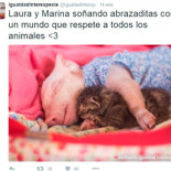 La enternecedora historia entre una cerdita y una gatita conmueve a las redes