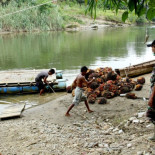 Una lista de productos y marcas con aceite de palma