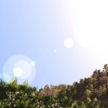 Si tú me dices ven..., no dejo nada. Pero te acompaño