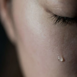 ¿Los psicólogos lloran en terapia?