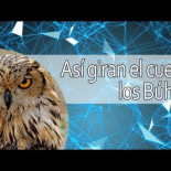 Así giran el cuello los Búhos