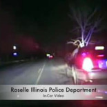 Arrestan a mujer por conducir con un árbol clavado en el capó