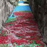 Un río multicolor provocado por el vertido masivo de cápsulas de medicamentos