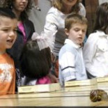 Rally de caracoles en La Rioja