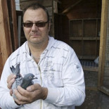 Le obligan a deshacerse de sus palomas mensajeras pero no puede porque siempre regresan