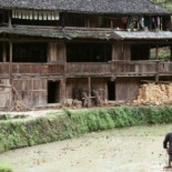 China ejecuta a un campesino pese a la intensa campaña generada en el país para salvarle