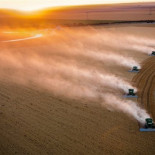 Cinco pasos para alimentar al mundo
