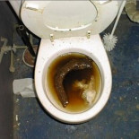 Rajoy presenta su dimisión ante el consejo de ministros