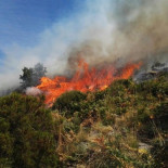 El fuego que asola el Valle del Jerte fue intencionado