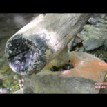 Tecnología primitiva: Martillo hidráulico