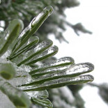 Después de miles de años, los organismos congelados del planeta están volviendo a la vida