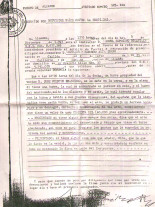 Denuncia por daños contra la propiedad