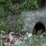 Paisajes tolkienianos del norte de España