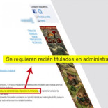 El drama de la sobrecualificación: se solicita licenciado en económicas para repartidor