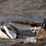 Leviatán: Putin a los indiferentes ojos de dios